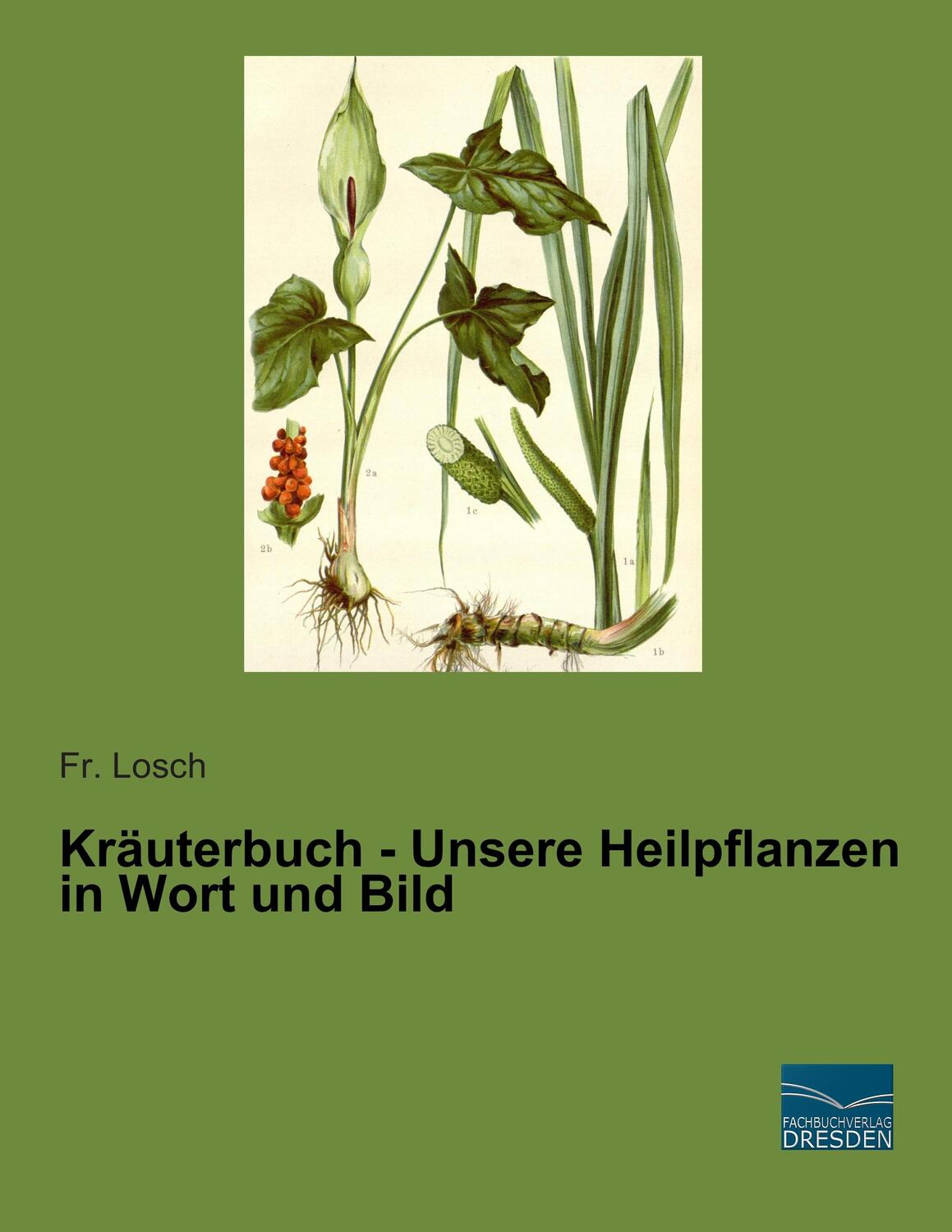 Cover: 9783956926518 | Kräuterbuch - Unsere Heilpflanzen in Wort und Bild | Fr. Losch | Buch