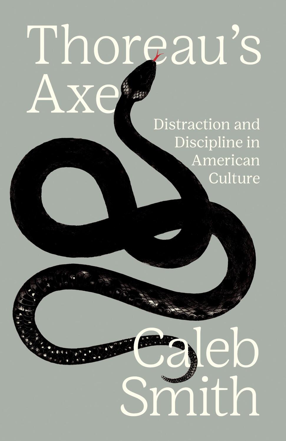 Cover: 9780691214771 | Thoreau's Axe | Distraction and Discipline in American Culture | Smith