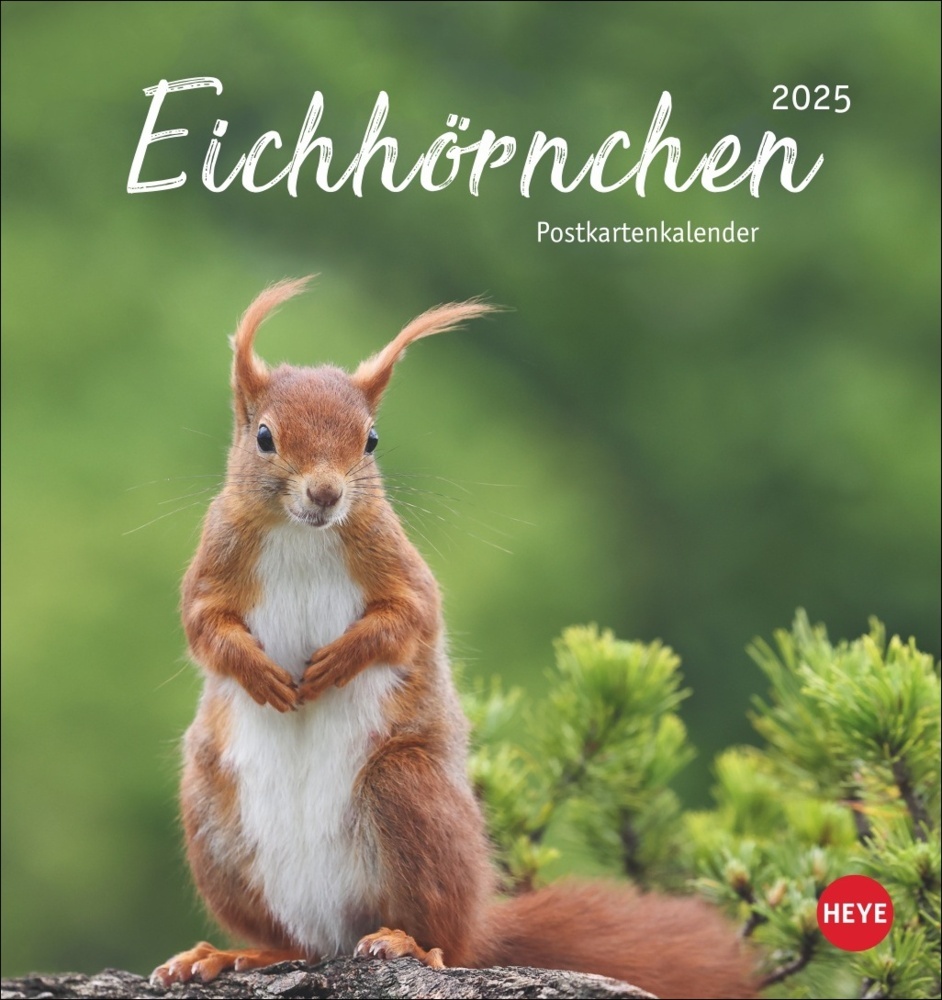 Cover: 9783756407071 | Eichhörnchen Postkartenkalender 2025 | Kalender | Spiralbindung | 2025