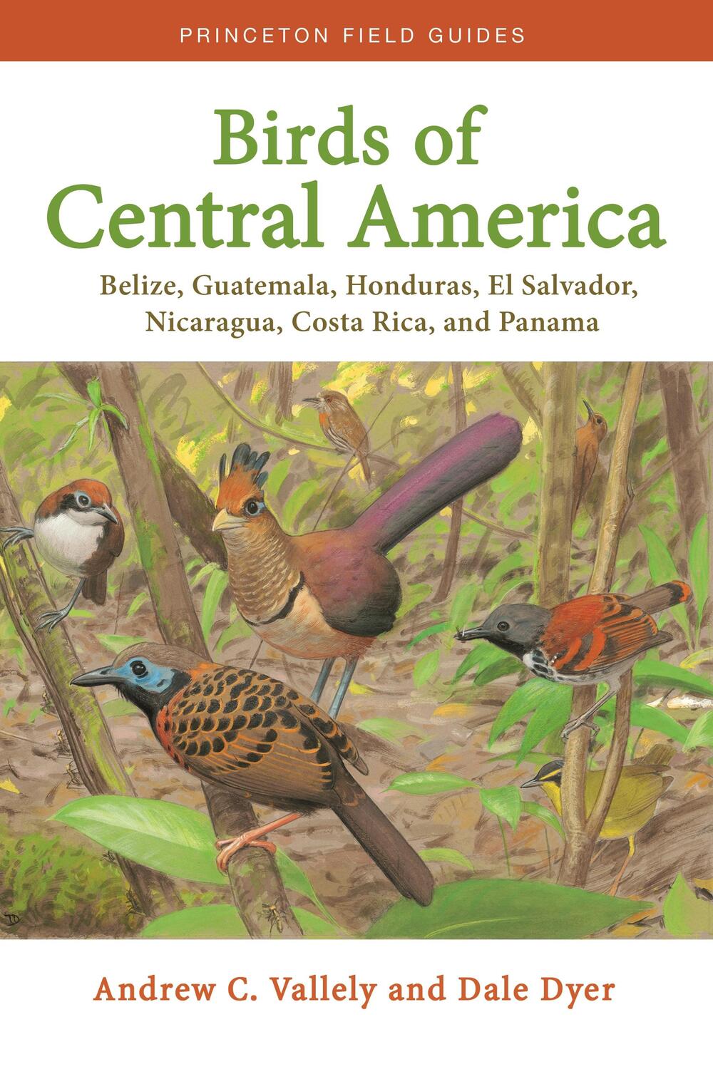 Cover: 9780691138022 | Birds of Central America | Andrew Vallely (u. a.) | Taschenbuch | 2018