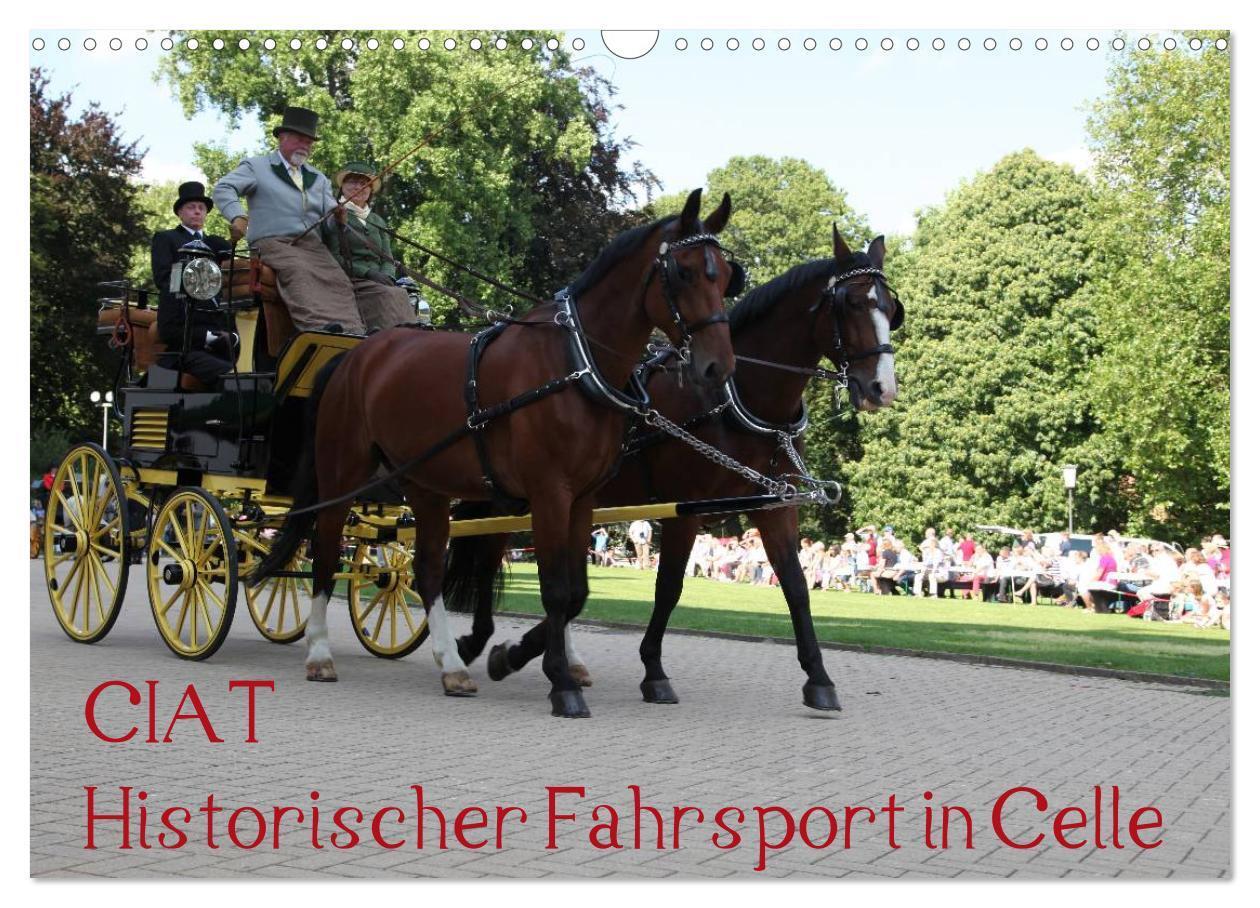 Cover: 9783435553457 | CIAT - Historischer Fahrsport in Celle (Wandkalender 2025 DIN A3...