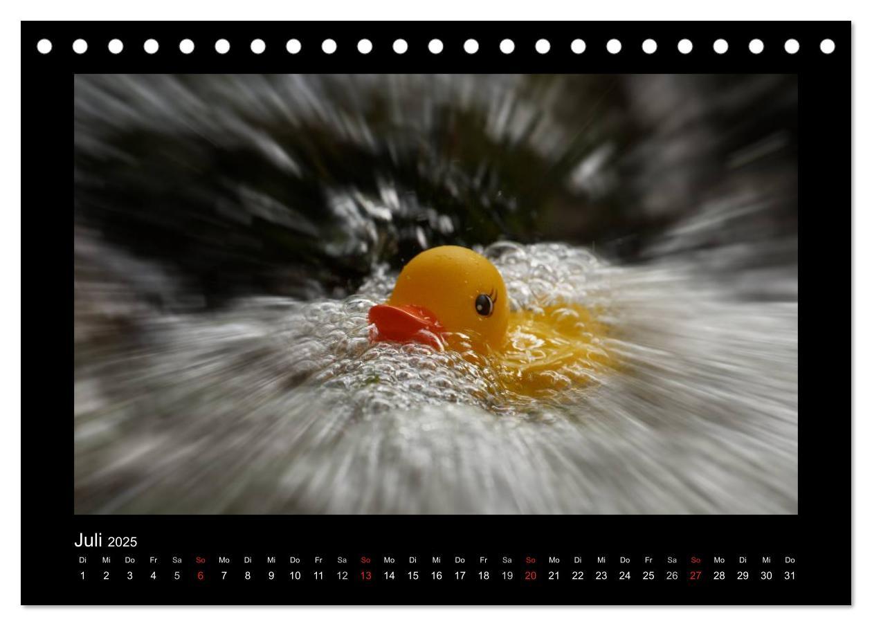 Bild: 9783435691005 | Enten-Rennen (Tischkalender 2025 DIN A5 quer), CALVENDO Monatskalender