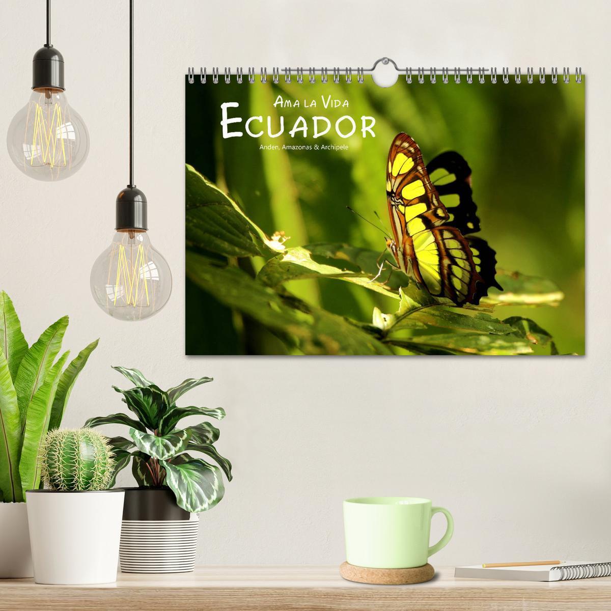 Bild: 9783435259854 | Ama la Vida Ecuador (Wandkalender 2025 DIN A4 quer), CALVENDO...