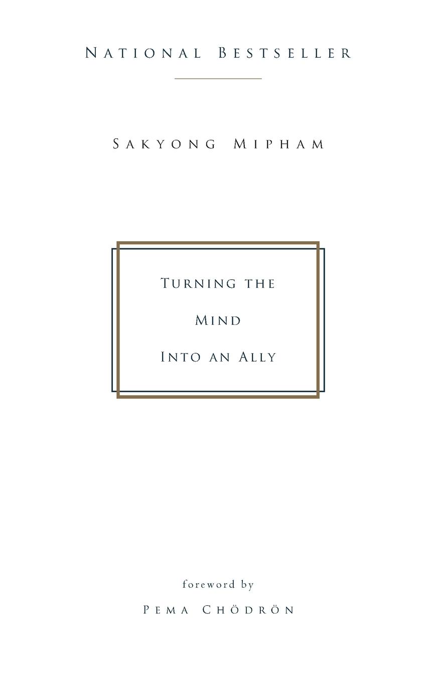 Cover: 9781573223454 | Turning the Mind Into an Ally | Sakyong Mipham | Taschenbuch | 2004