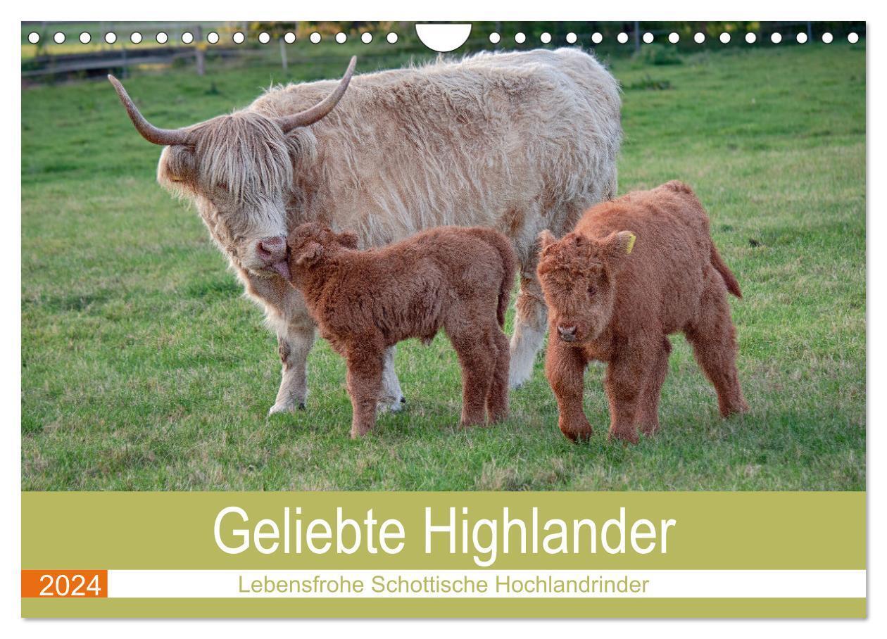 Cover: 9783675631342 | Geliebte Highlander (Wandkalender 2024 DIN A4 quer), CALVENDO...