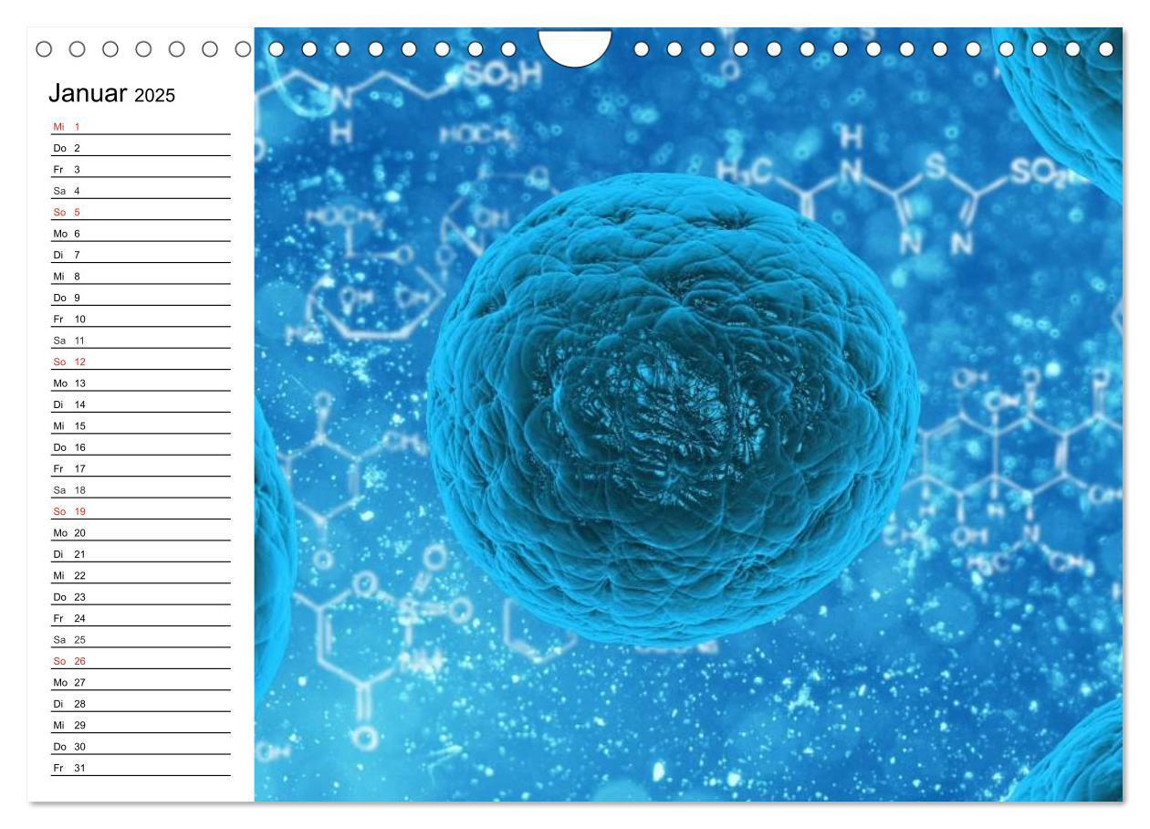 Bild: 9783435483808 | Mikrobiologie. Mikroorganismen, Genetik und Zellen (Wandkalender...