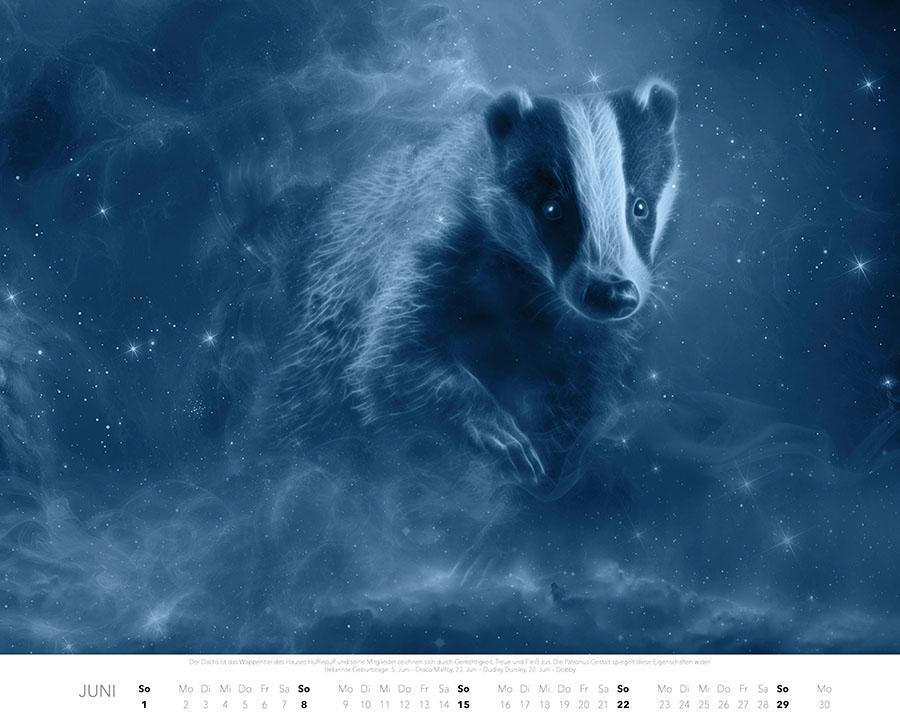 Bild: 9783966647984 | Patronus Kalender für Potterheads 2025 XXL-Wandkalender | Ferreira