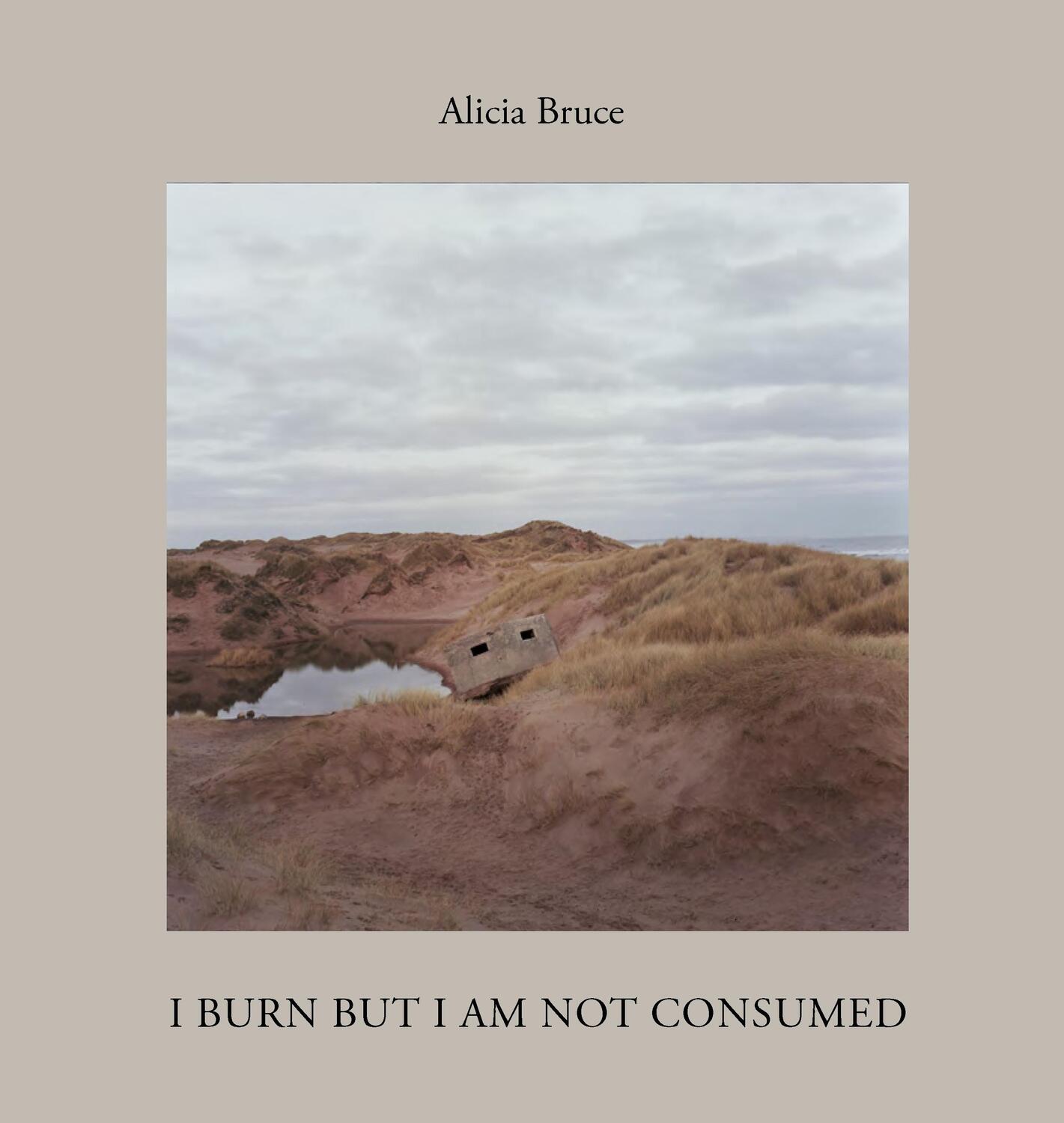 Cover: 9781954119246 | I Burn But Am Not Consumed | Alicia Bruce | Buch | Gebunden | Englisch