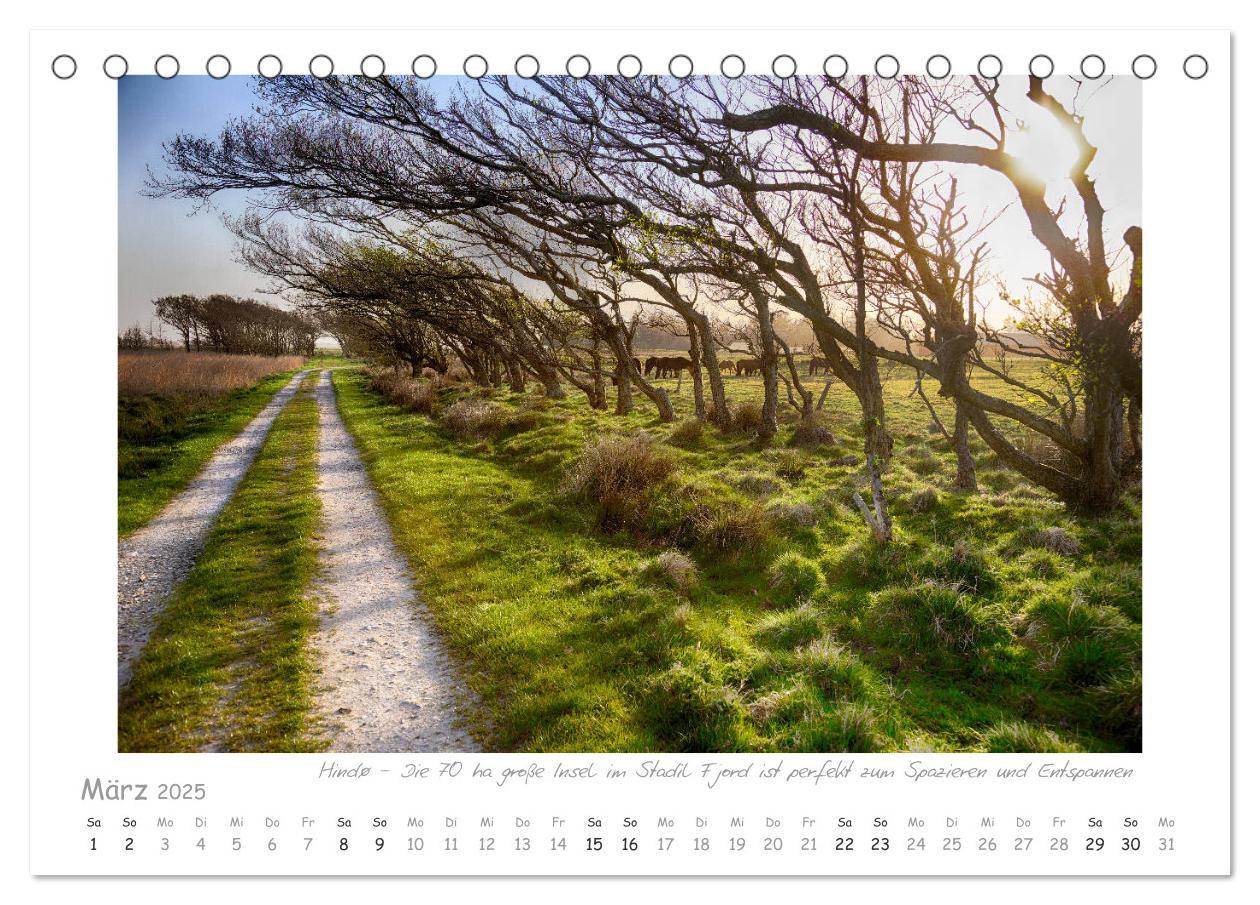 Bild: 9783435250134 | Sehnsucht Westjütland (Tischkalender 2025 DIN A5 quer), CALVENDO...