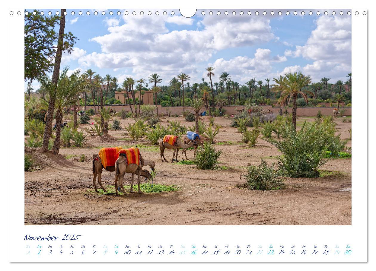 Bild: 9783383913525 | Marrakesch - Oase im Wüstenstaub (Wandkalender 2025 DIN A3 quer),...