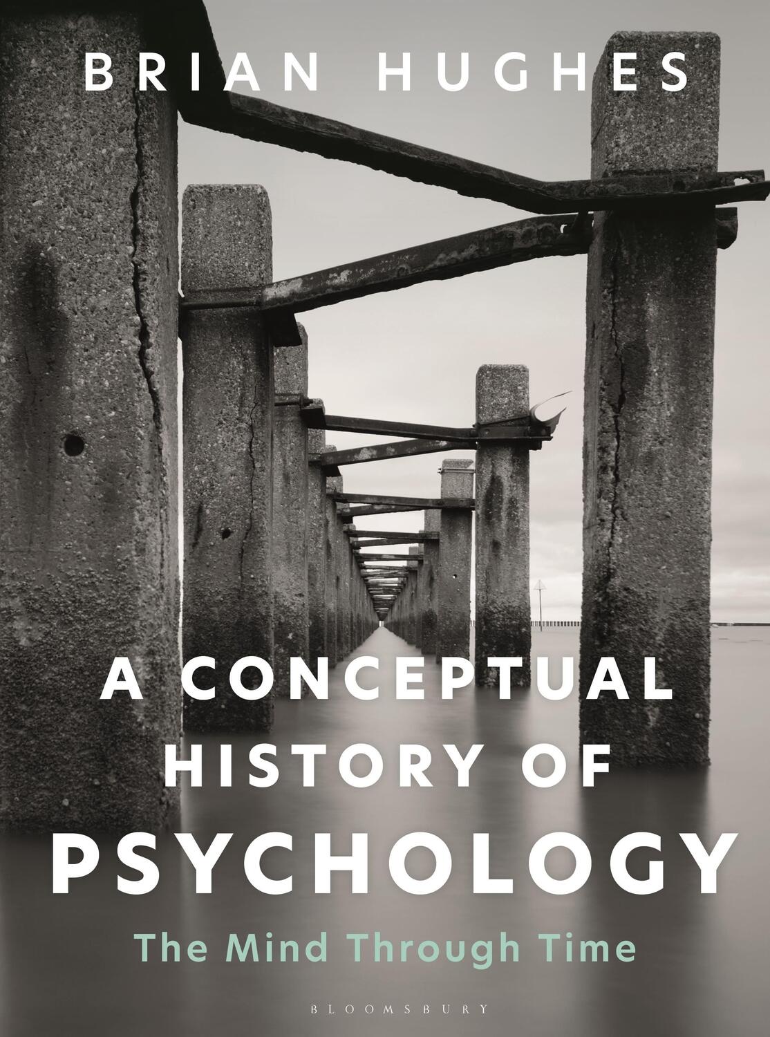 Cover: 9781350328204 | A Conceptual History of Psychology | The Mind Through Time | Hughes