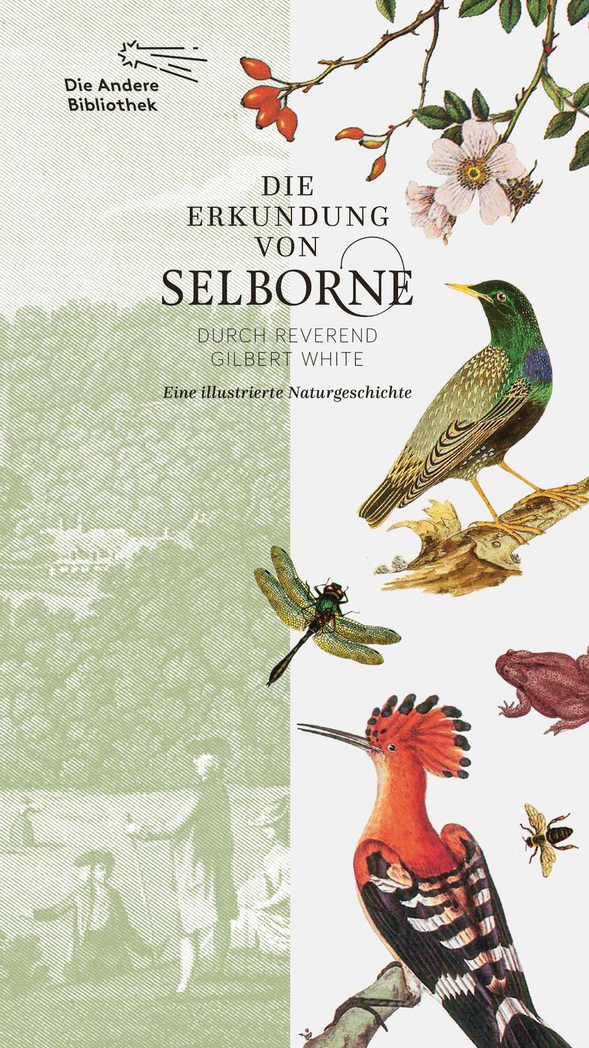 Cover: 9783847704379 | Die Erkundung von Selborne durch Reverend Gilbert White | White | Buch