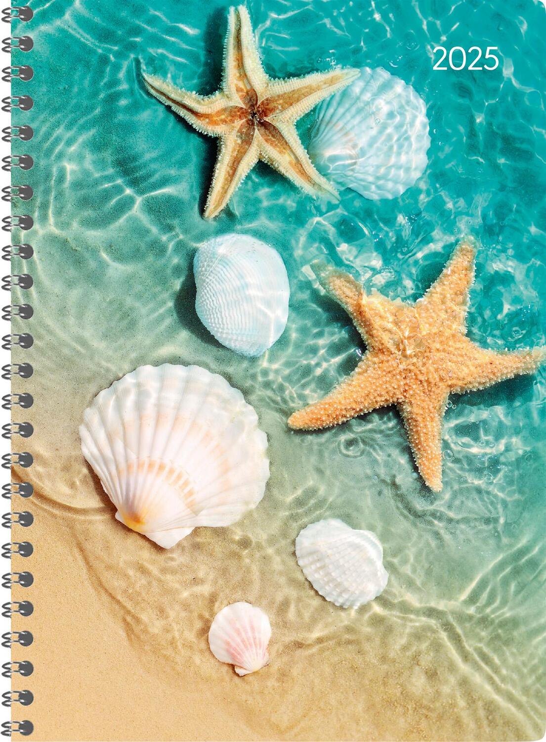 Cover: 4251732342449 | Ladytimer Ringbuch Beach 2025 - Taschen-Kalender A5 (15x21 cm) -...