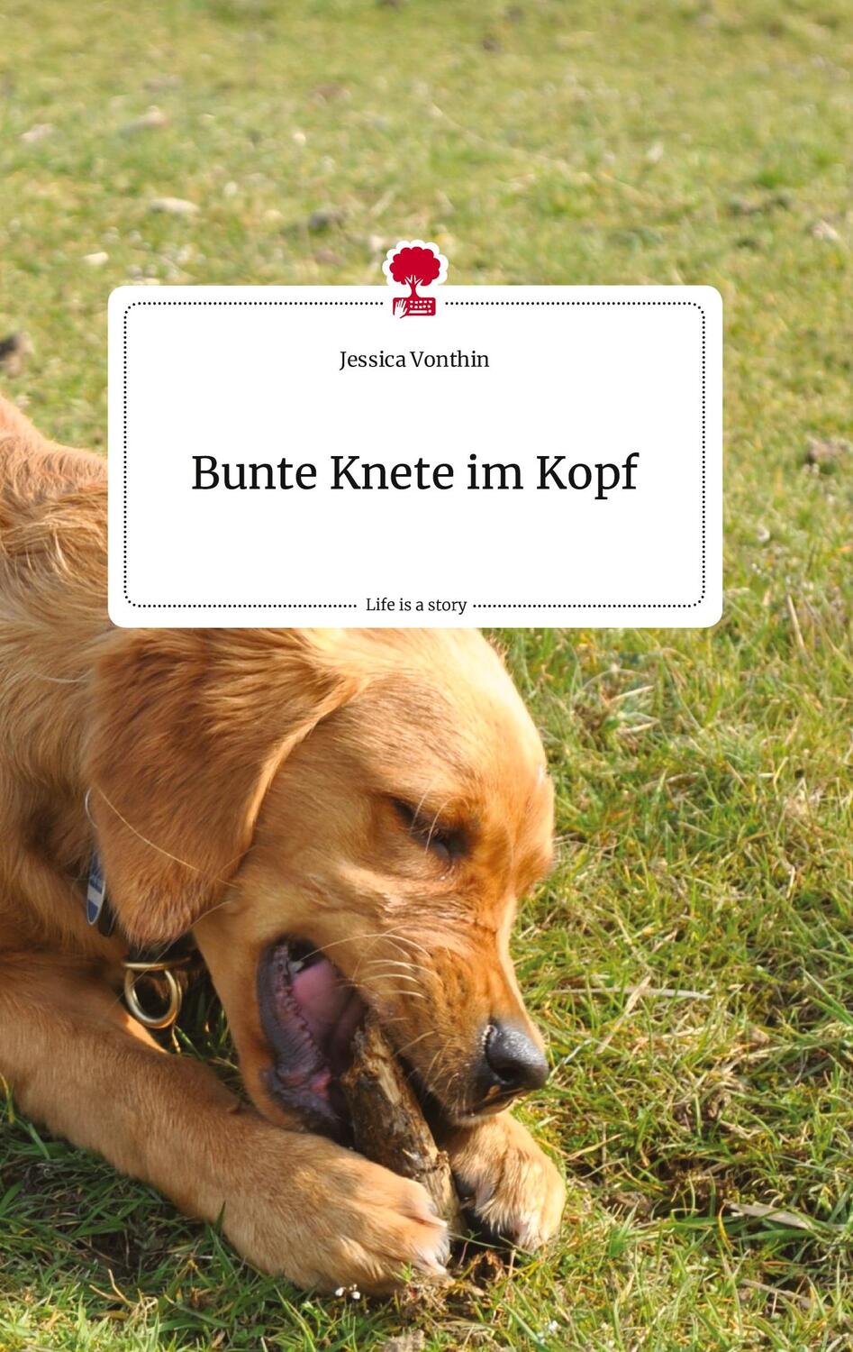 Cover: 9783710811289 | Bunte Knete im Kopf. Life is a Story - story.one | Jessica Vonthin