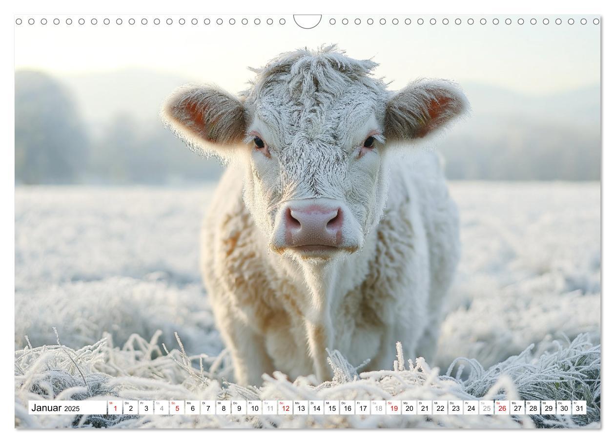 Bild: 9783457210291 | KÜHE AUF DER ALM ¿ Der Kalender aus Bayern (Wandkalender 2025 DIN...