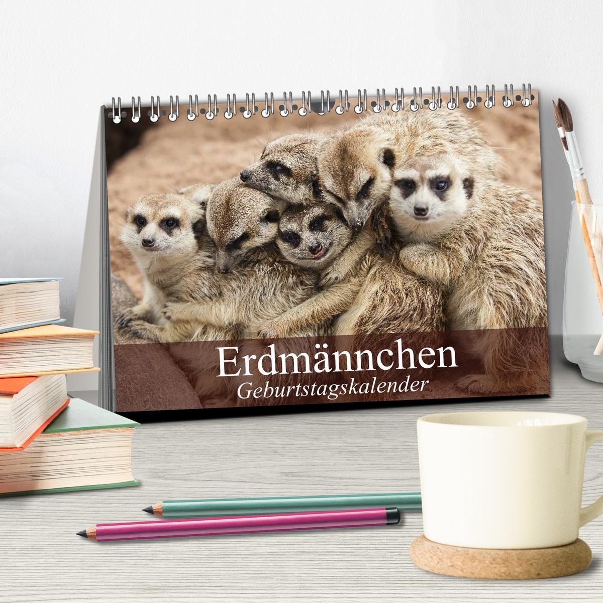 Bild: 9783435671793 | Erdmännchen (Tischkalender 2025 DIN A5 quer), CALVENDO Monatskalender