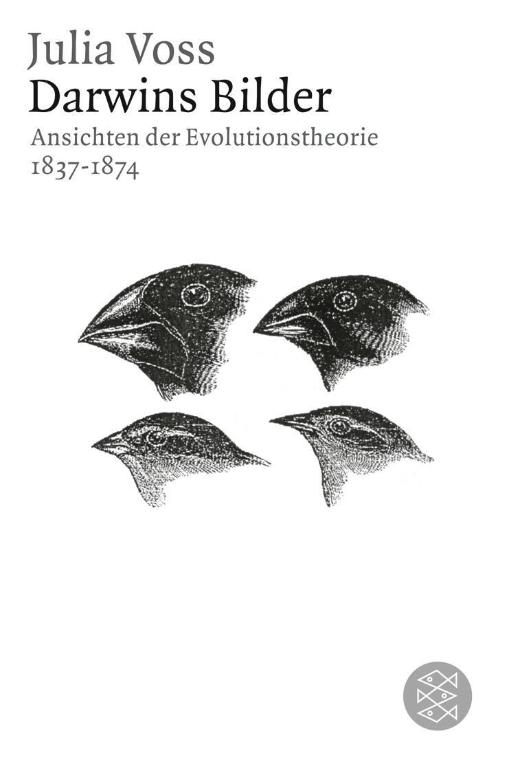 Cover: 9783596176274 | Darwins Bilder | Ansichten der Evolutionstheorie 1837-1874 | Voss