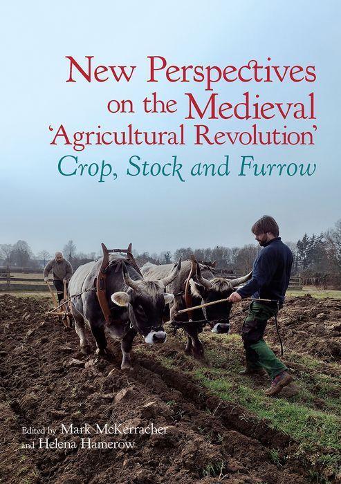 Cover: 9781802077230 | New Perspectives on the Medieval 'Agricultural Revolution' | Buch