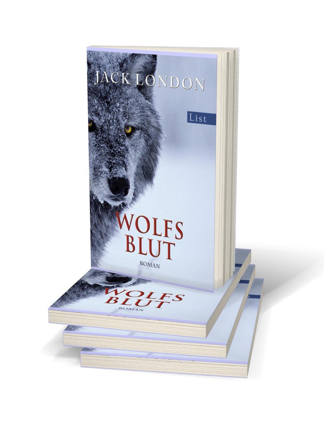 Bild: 9783548609140 | Wolfsblut | Jack London | Taschenbuch | List bei Ullstein | 170 S.