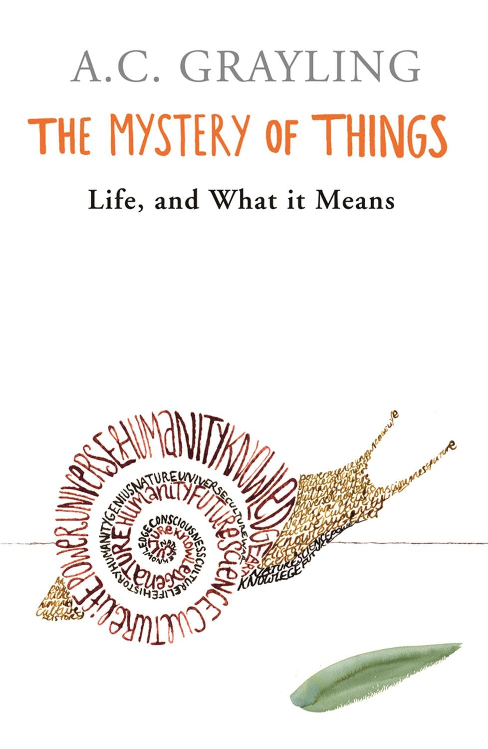 Cover: 9780753820193 | The Mystery of Things | A. C. Grayling | Taschenbuch | Englisch | 2007