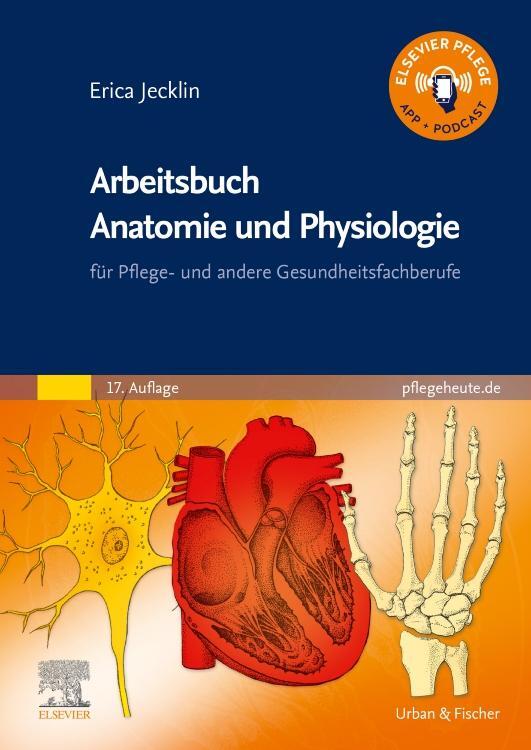 Cover: 9783437250842 | Arbeitsbuch Anatomie und Physiologie | Erica Brühlmann-Jecklin | Buch