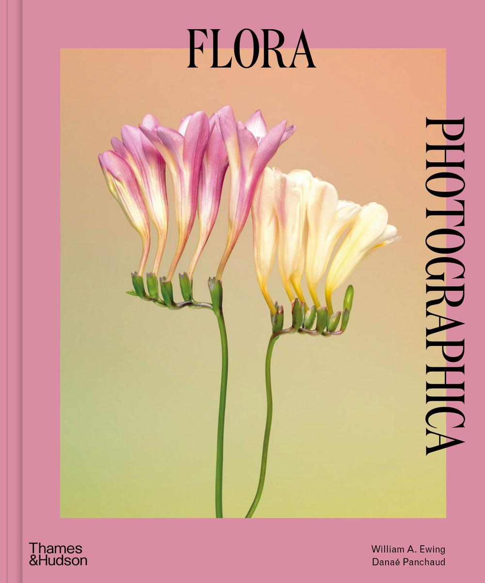 Cover: 9780500024584 | Flora Photographica | The Flower in Contemporary Photography | Buch