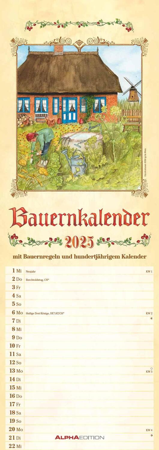 Cover: 4251732343408 | Bauernkalender 2025 - Streifen-Kalender 15x42 cm - mit 100-jährigem...