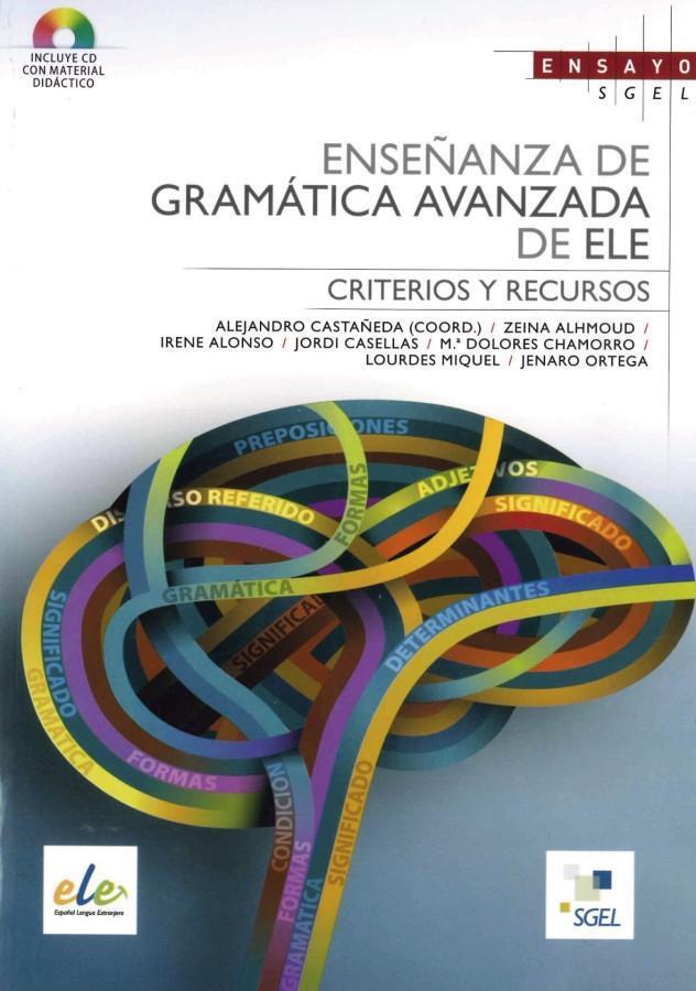 Cover: 9783195245067 | Enseñanza de gramática avanzada de ELE | Castañeda | Taschenbuch