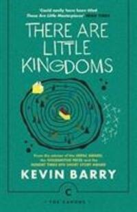 Cover: 9781786890177 | There Are Little Kingdoms | Kevin Barry | Taschenbuch | Canons | 2017
