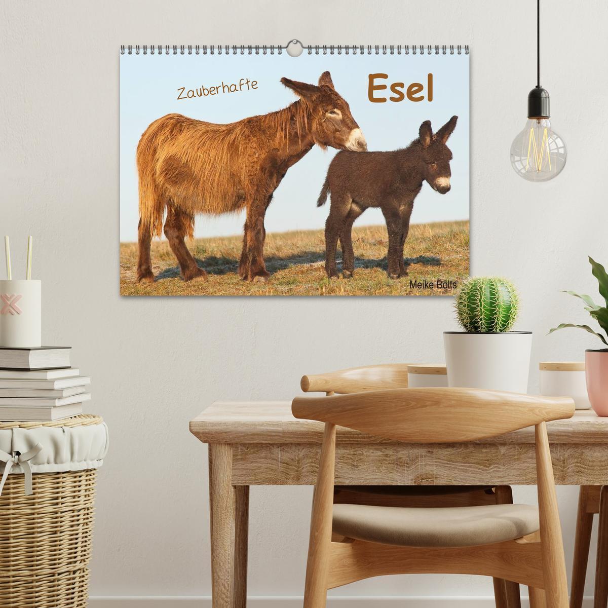 Bild: 9783435603619 | Zauberhafte Esel (Wandkalender 2025 DIN A3 quer), CALVENDO...