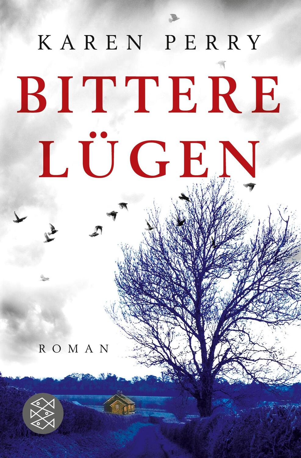 Cover: 9783596197361 | Bittere Lügen | Roman | Karen Perry | Taschenbuch | Paperback | 400 S.