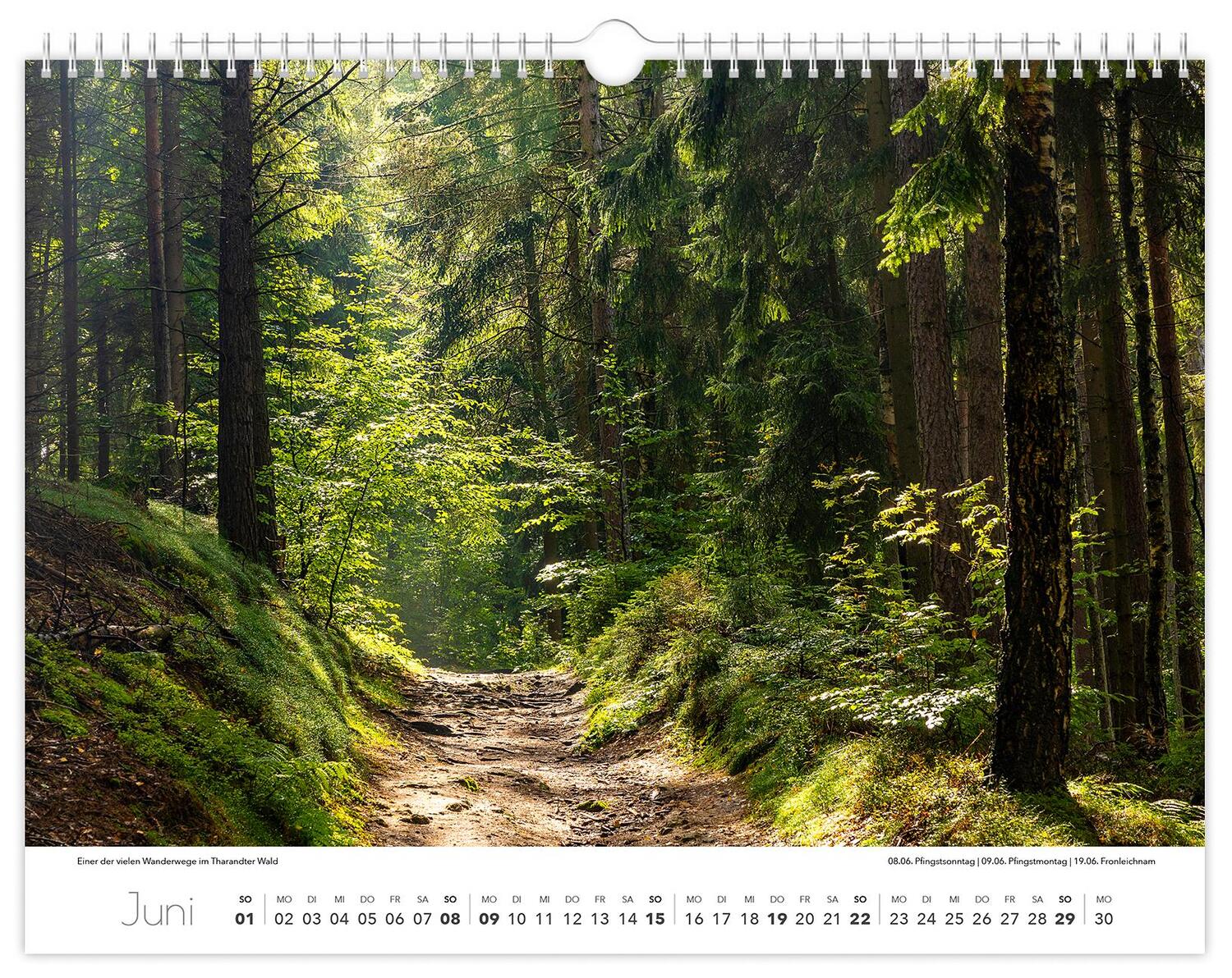 Bild: 9783910680647 | Kalender Tharandt und Umgebung 2025 | 40 x 30 cm weißes Kalendarium