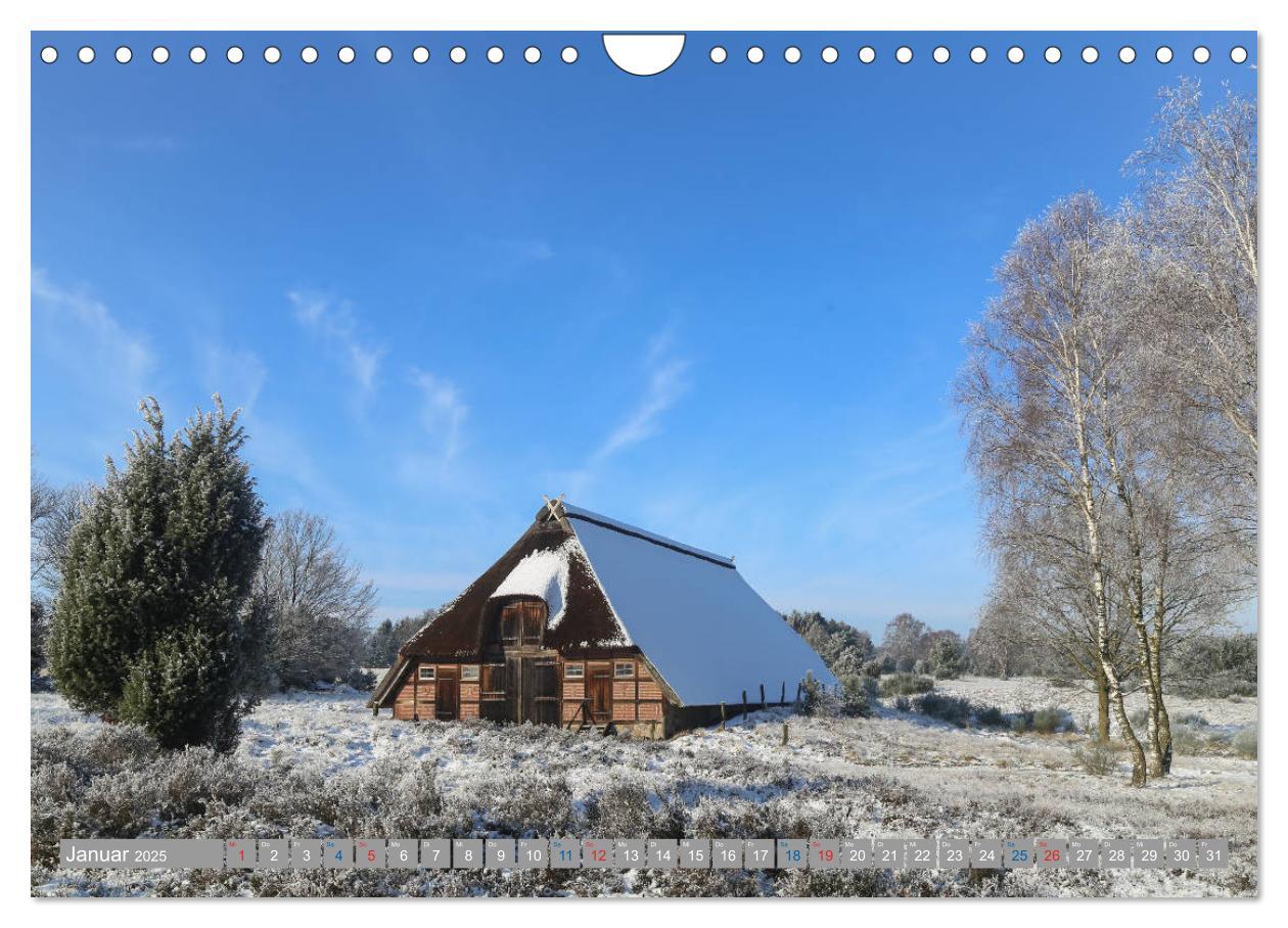 Bild: 9783435458776 | Lüneburger Heide - Faszinierend schön (Wandkalender 2025 DIN A4...