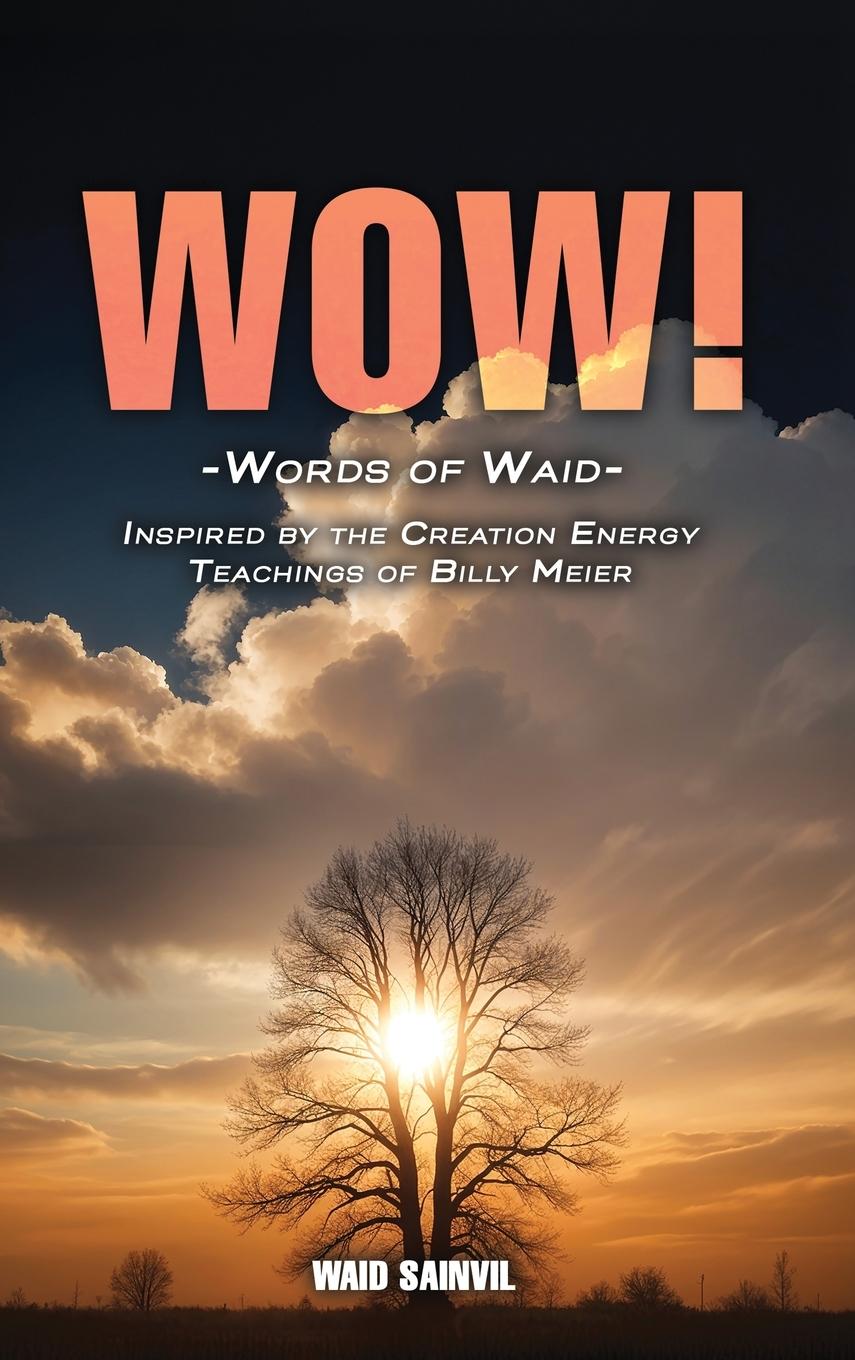 Cover: 9798893242829 | WOW | Waid Sainvil | Buch | Englisch | 2024 | Franklin Publishers