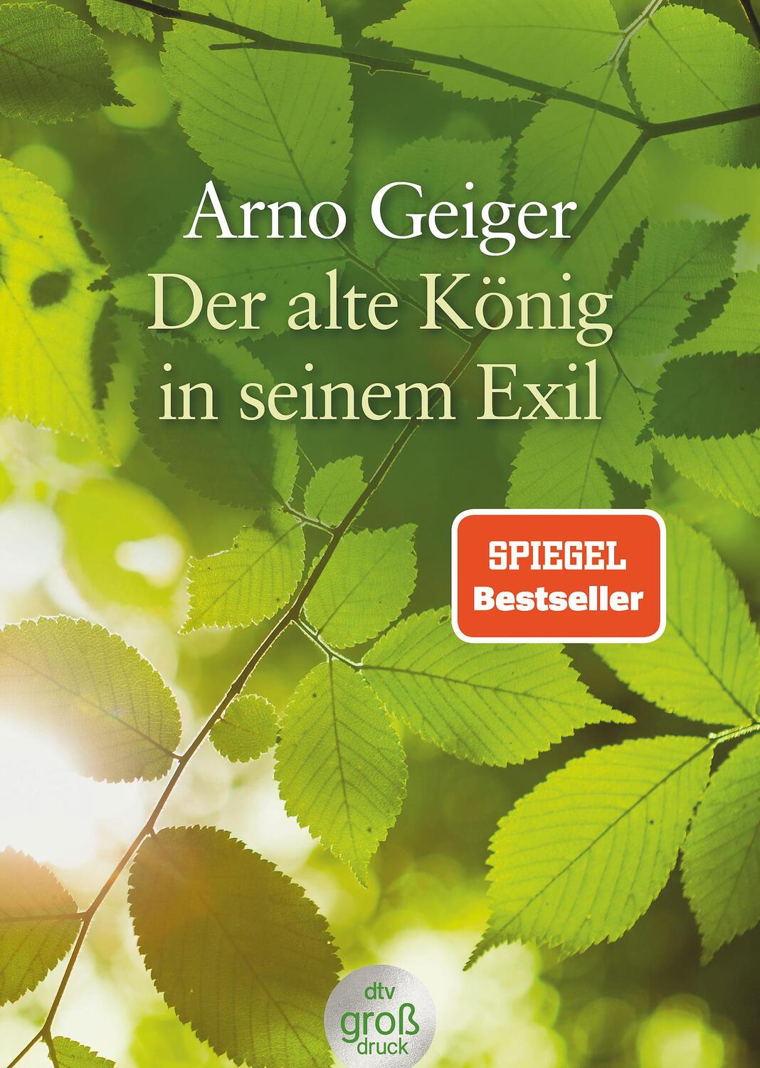Cover: 9783423253505 | Der alte König in seinem Exil. Großdruck | Arno Geiger | Taschenbuch