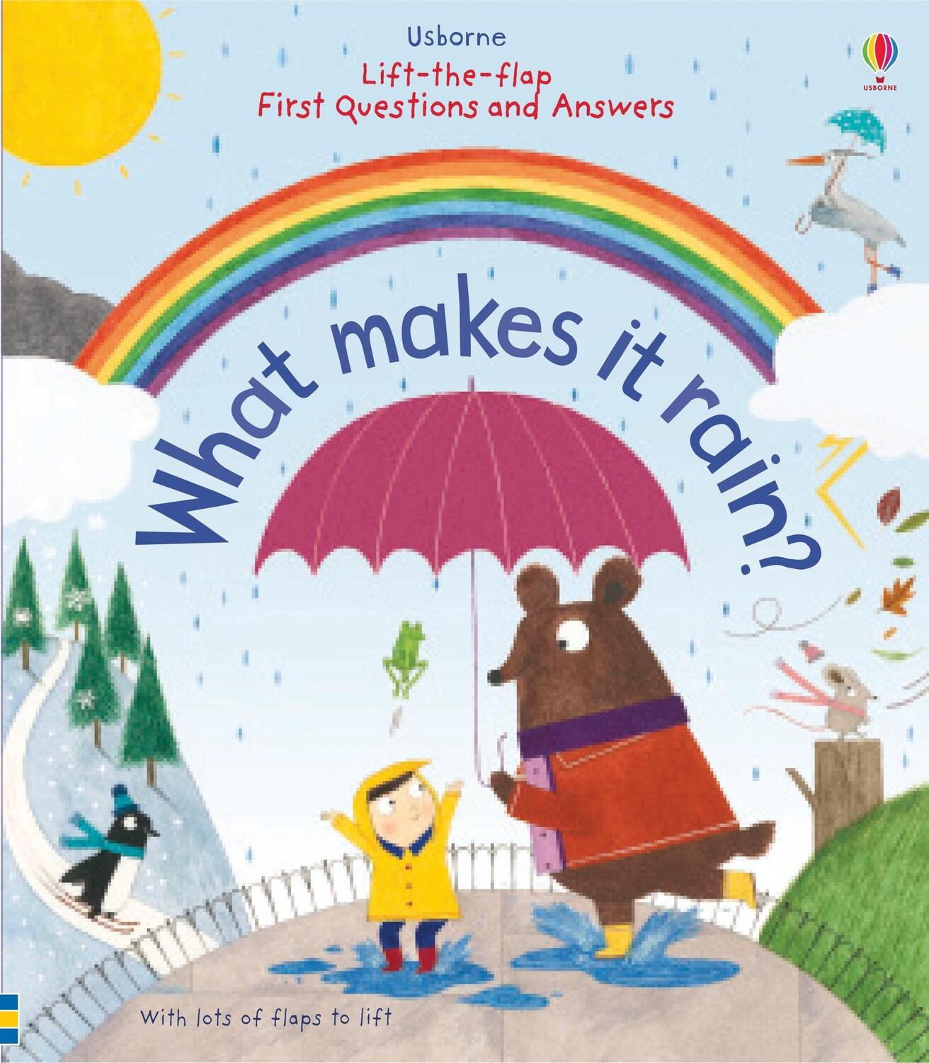Cover: 9781409598817 | Lift-the-Flap First Questions and Answers What Makes it Rain? | Daynes