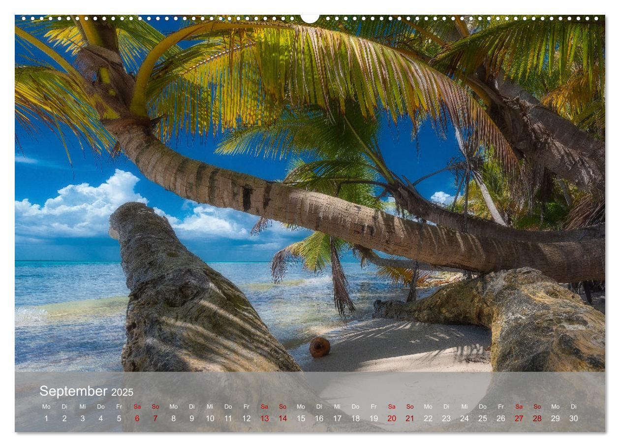 Bild: 9783435022137 | Karibik Traum Isla Saona (Wandkalender 2025 DIN A2 quer), CALVENDO...