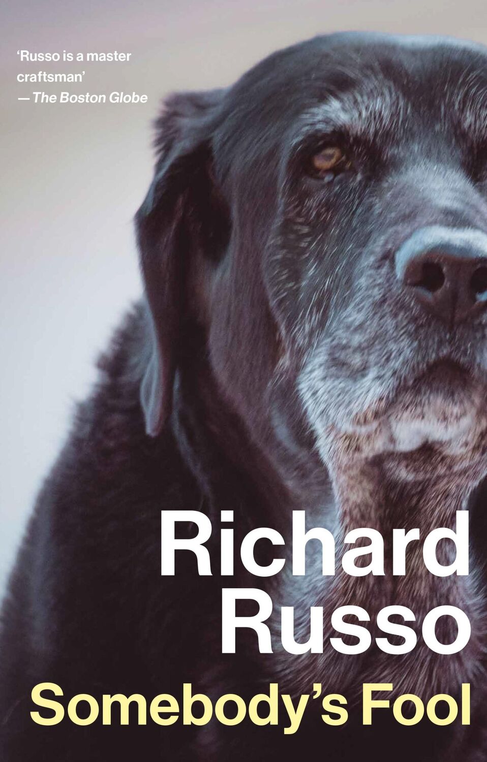 Bild: 9781838959593 | Somebody's Fool | Richard Russo | Taschenbuch | 464 S. | Englisch