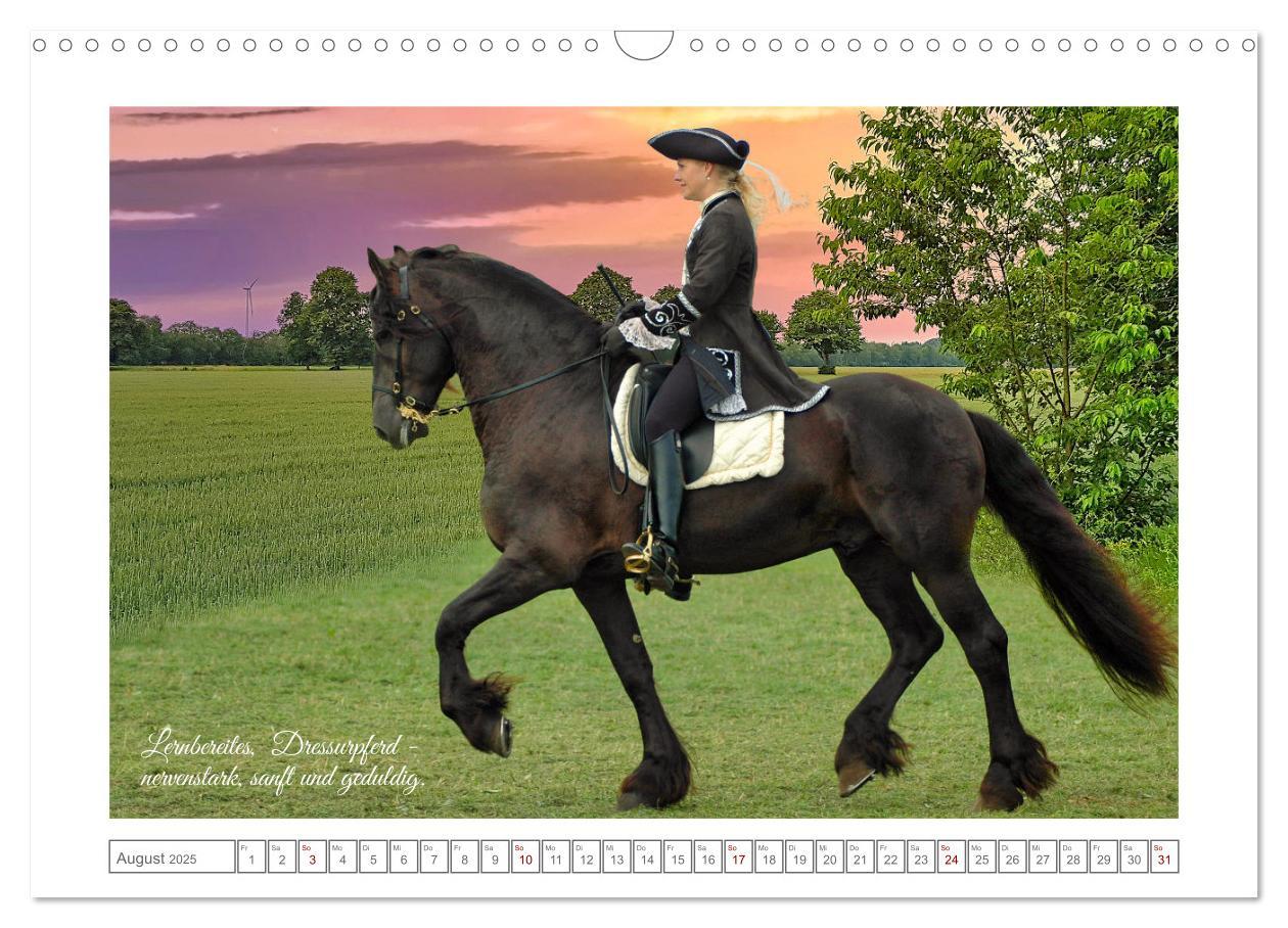 Bild: 9783383909085 | Friesen - elegant und kraftvoll (Wandkalender 2025 DIN A3 quer),...