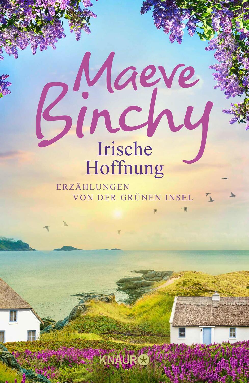 Cover: 9783426226667 | Irische Hoffnung | Erzählungen von der Grünen Insel | Maeve Binchy