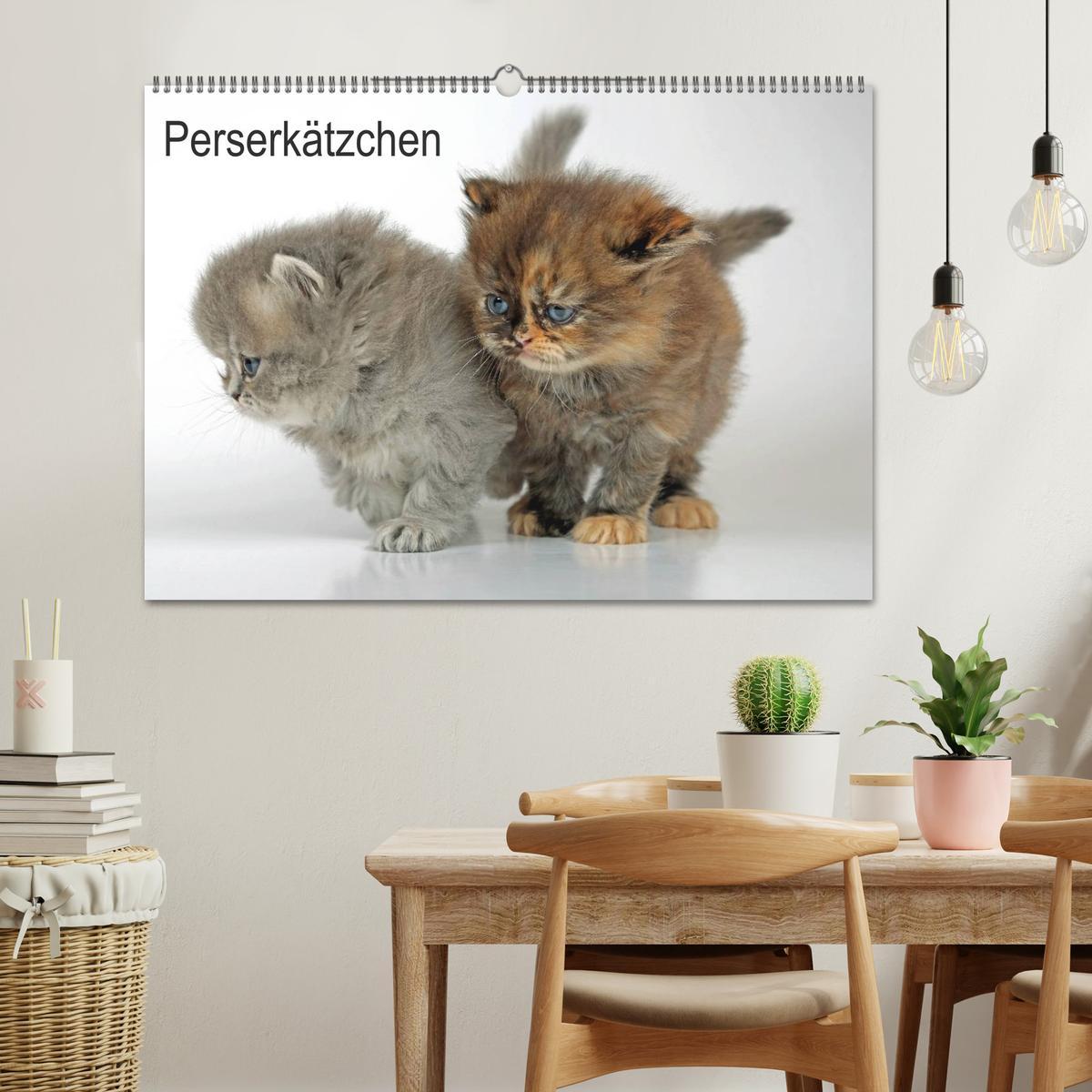 Bild: 9783435725830 | Perserkätzchen / CH-Version (Wandkalender 2025 DIN A2 quer),...