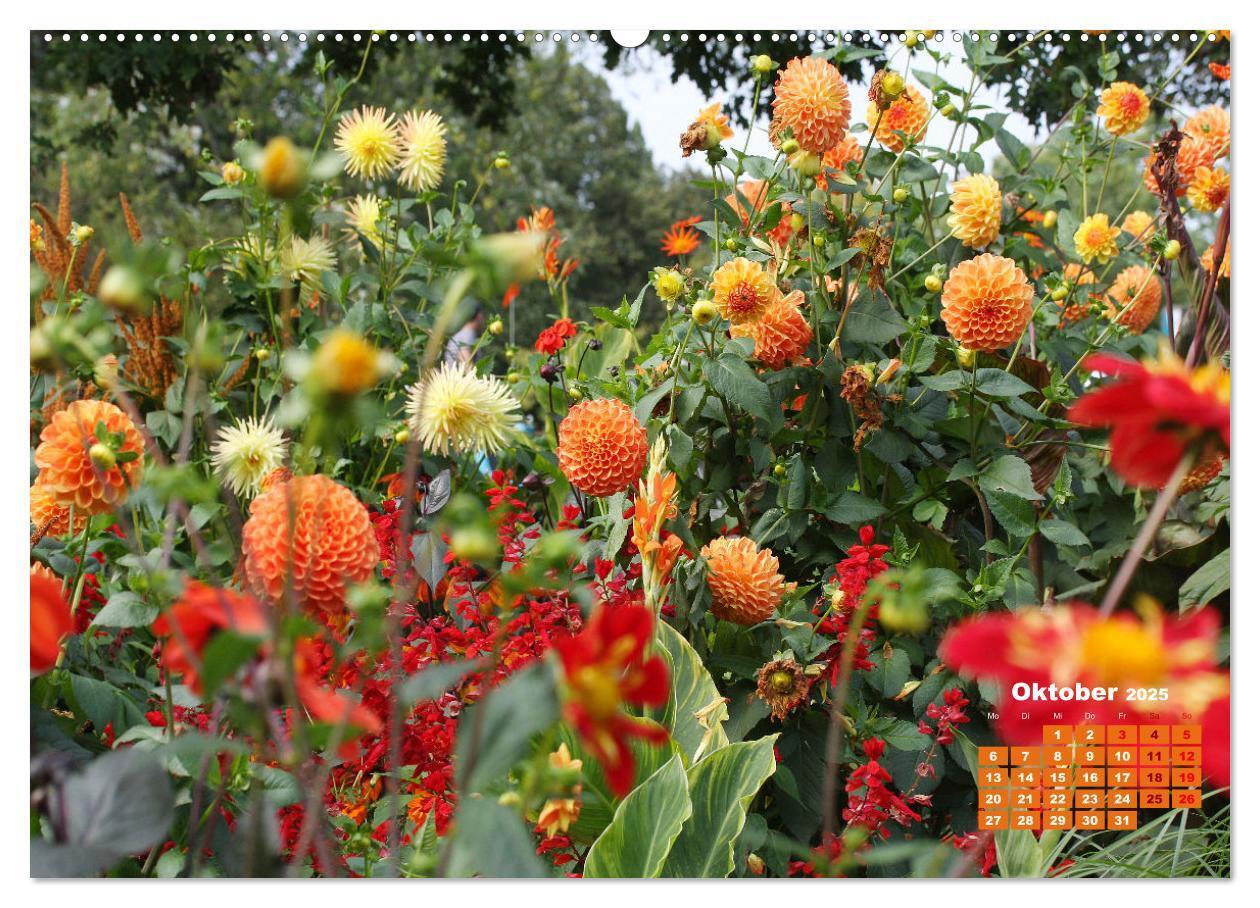 Bild: 9783383988493 | Urlaub im Garten (Wandkalender 2025 DIN A2 quer), CALVENDO...