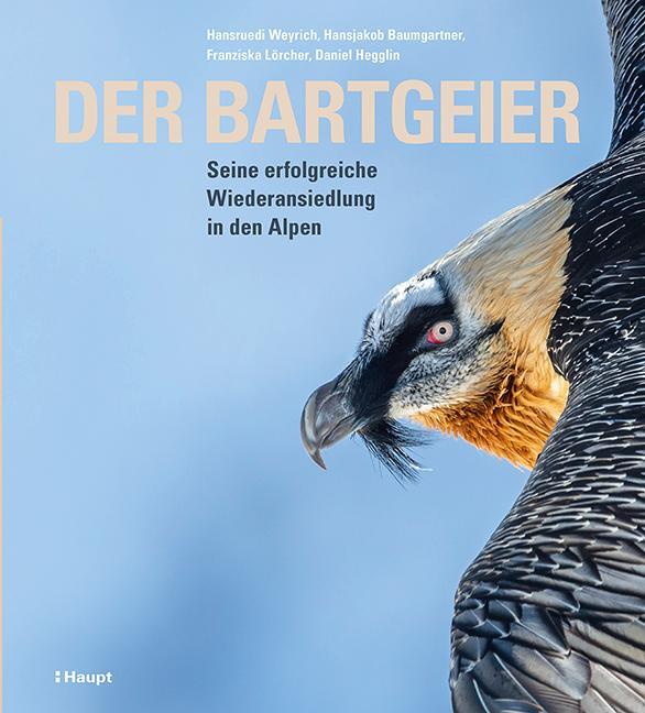 Cover: 9783258081922 | Der Bartgeier | Seine erfolgreiche Wiederansiedlung in den Alpen