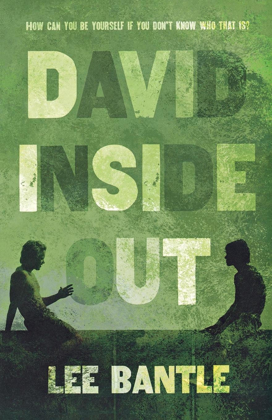 Cover: 9781250104281 | David Inside Out | Lee Bantle | Taschenbuch | Paperback | Englisch