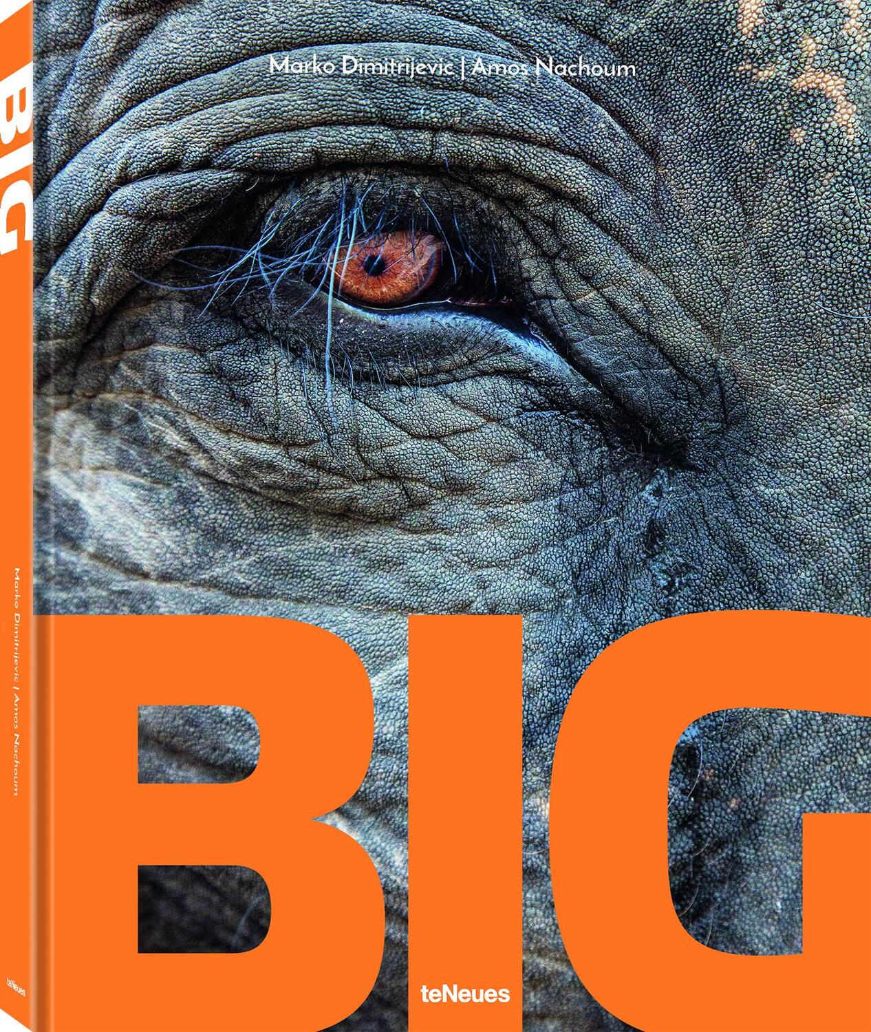 Cover: 9783961713851 | BIG | A Photographic Album of the World's Largest Animals | Buch