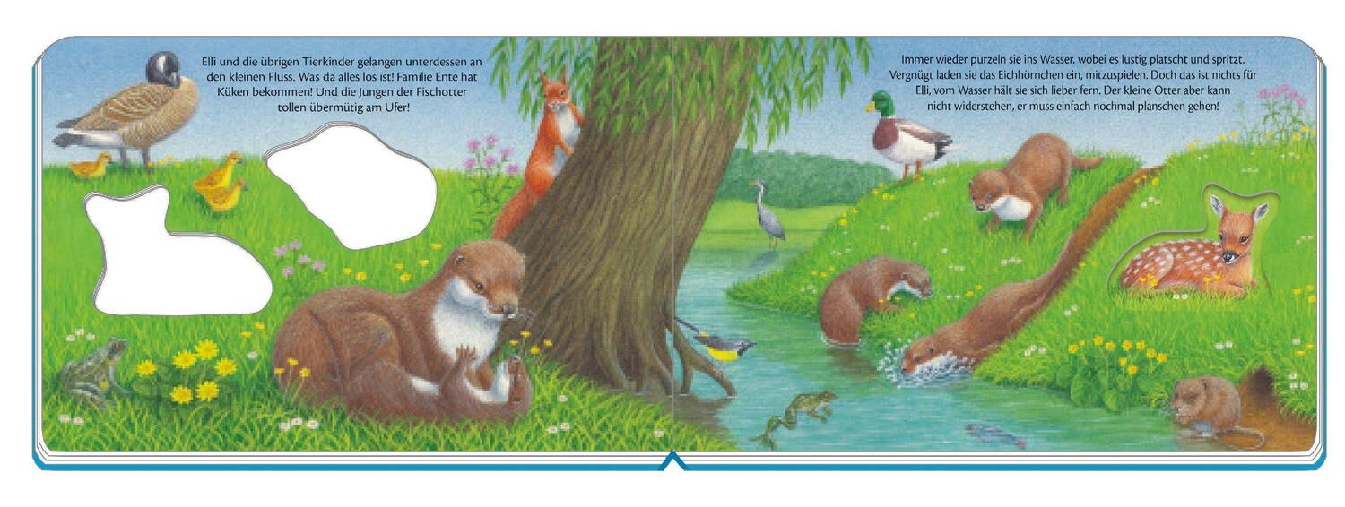 Bild: 9783957749857 | Trötsch mein erstes Fensterbuch Tierkinder in der Natur | Buch | 2020