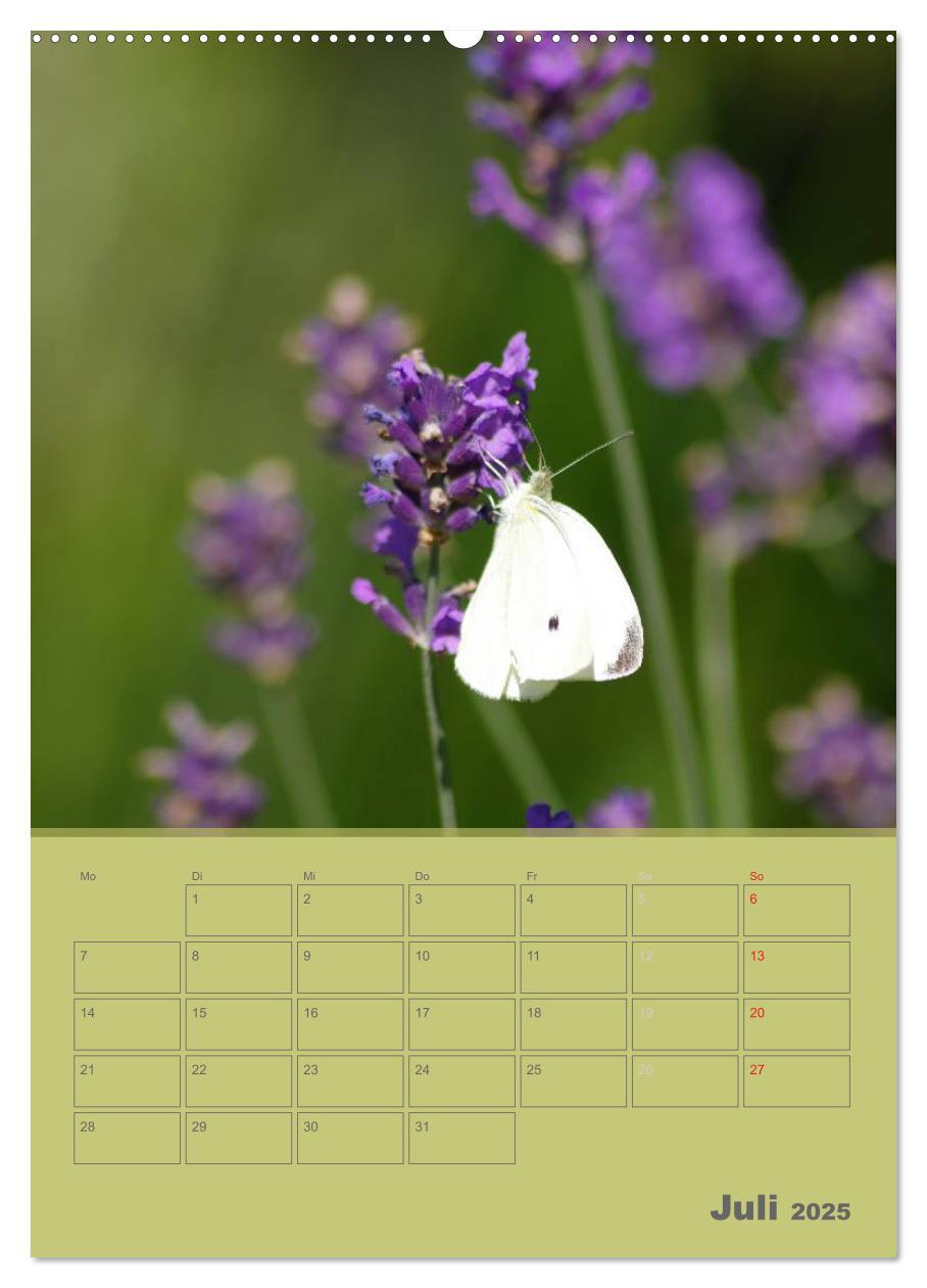 Bild: 9783457087817 | Naturbilder (Wandkalender 2025 DIN A2 hoch), CALVENDO Monatskalender