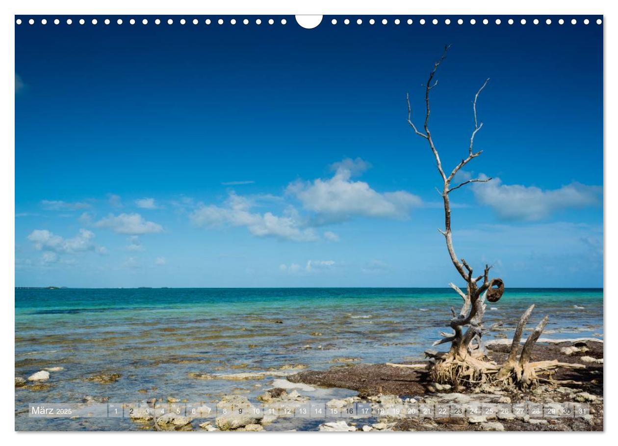 Bild: 9783435602216 | Florida. Sonne und Meer (Wandkalender 2025 DIN A3 quer), CALVENDO...