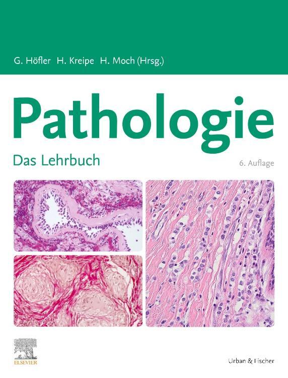 Cover: 9783437423901 | Lehrbuch Pathologie | Gerald Höfler (u. a.) | Buch | Deutsch | 2019