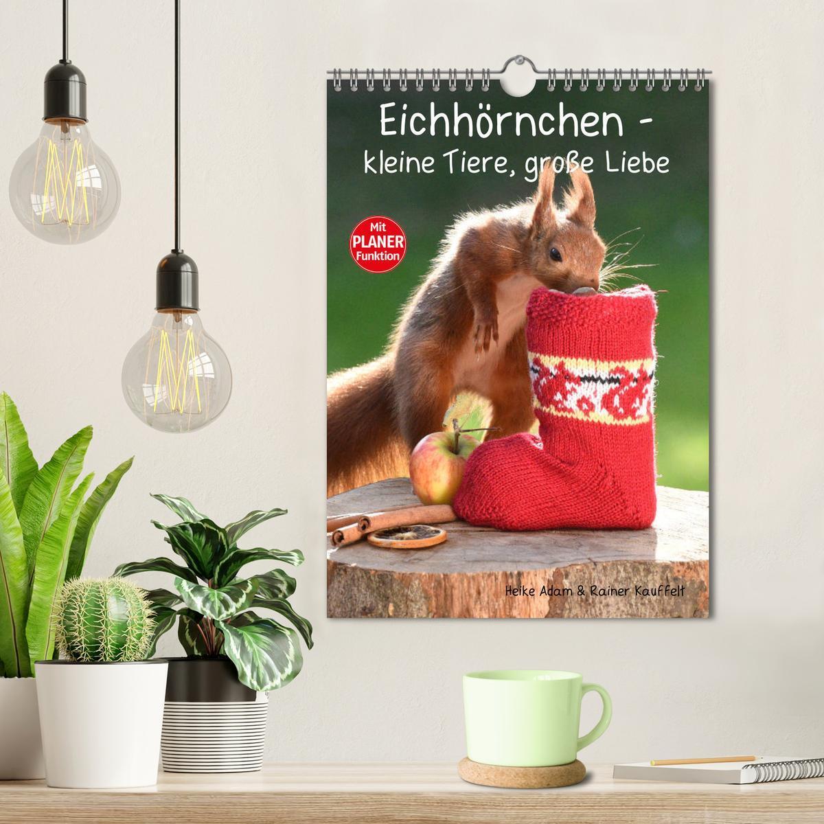 Bild: 9783435985302 | Eichhörnchen - kleine Tiere, große Liebe (Wandkalender 2025 DIN A4...